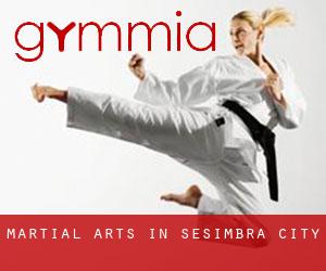 Martial Arts in Sesimbra (City)