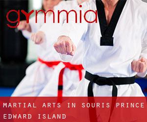 Martial Arts in Souris (Prince Edward Island)