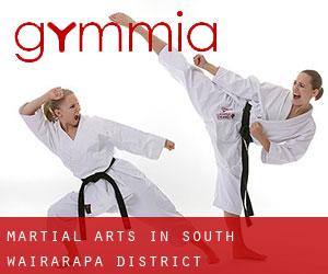 Martial Arts in South Wairarapa District