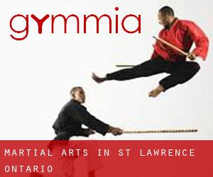 Martial Arts in St. Lawrence (Ontario)