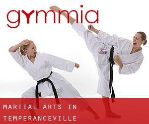 Martial Arts in Temperanceville