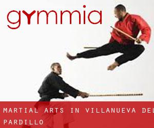 Martial Arts in Villanueva del Pardillo