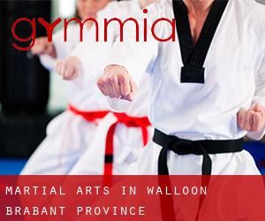 Martial Arts in Walloon Brabant Province