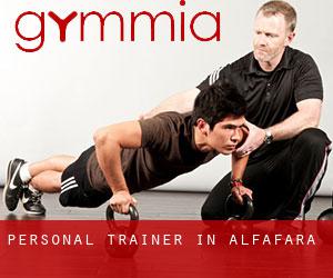 Personal Trainer in Alfafara