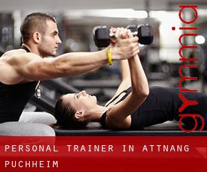 Personal Trainer in Attnang-Puchheim