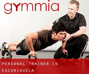 Personal Trainer in Escorihuela