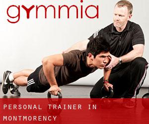 Personal Trainer in Montmorency