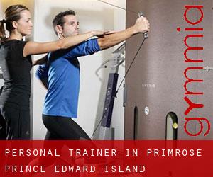 Personal Trainer in Primrose (Prince Edward Island)