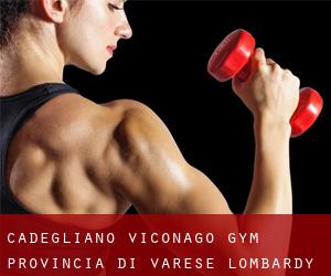 Cadegliano-Viconago gym (Provincia di Varese, Lombardy)