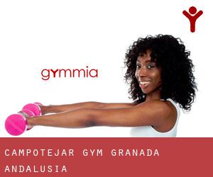 Campotéjar gym (Granada, Andalusia)