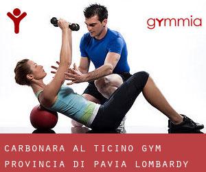 Carbonara al Ticino gym (Provincia di Pavia, Lombardy)