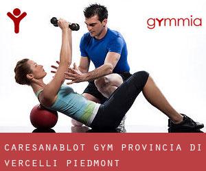 Caresanablot gym (Provincia di Vercelli, Piedmont)