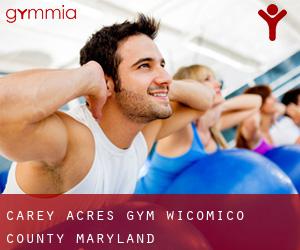 Carey Acres gym (Wicomico County, Maryland)