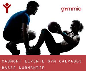 Caumont-l'Éventé gym (Calvados, Basse-Normandie)