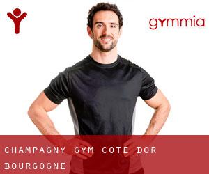 Champagny gym (Cote d'Or, Bourgogne)