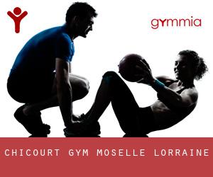 Chicourt gym (Moselle, Lorraine)