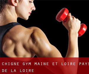 Chigné gym (Maine-et-Loire, Pays de la Loire)