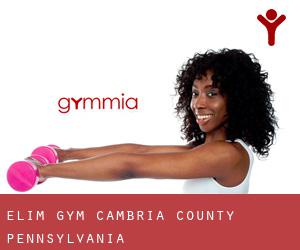 Elim gym (Cambria County, Pennsylvania)