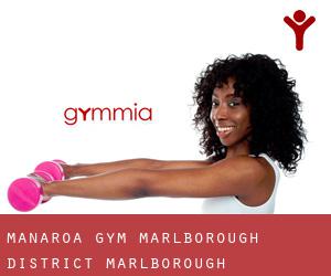 Manaroa gym (Marlborough District, Marlborough)