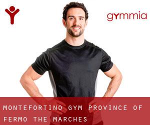 Montefortino gym (Province of Fermo, The Marches)