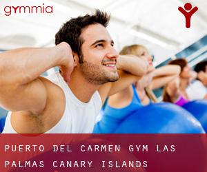 Puerto del Carmen gym (Las Palmas, Canary Islands)
