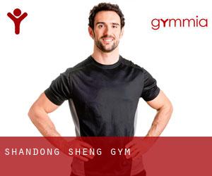 Shandong Sheng gym Shandong Sheng gym