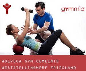 Wolvega gym (Gemeente Weststellingwerf, Friesland)