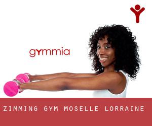 Zimming gym (Moselle, Lorraine)